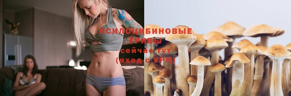 прущий лед Алексин