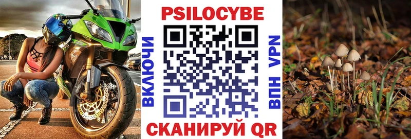 Галлюциногенные грибы прущие грибы наркотики Боготол